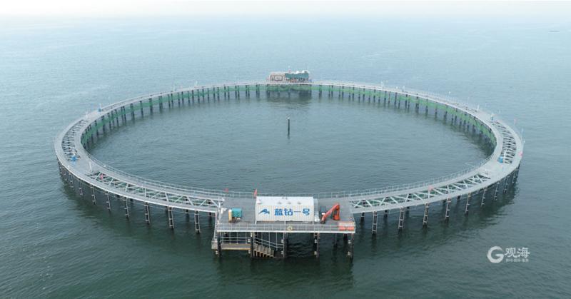 海水魚養殖 從“兩條魚”到“深遠海”的技術躍遷