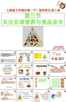《4.2.3合理營養與食品安全》教學 營養食品