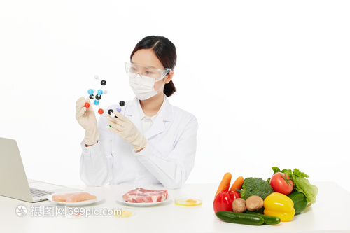 分子美學 一位女性營養師眼中的食物進化論